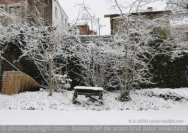 jardin sous la neige